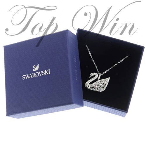 全新 Swarovski 施華洛世奇 SWAN LAKE 頸鏈 銀色 白金 5169080(特價)
