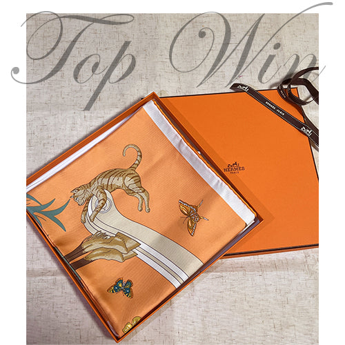 全新 Hermes 愛馬仕 絲巾 愛馬仕的動態分享(特價)