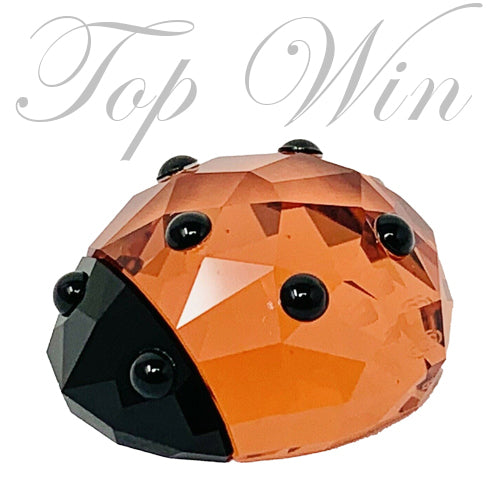 全新 Swarovski 施華洛世奇 Lucky Ladybird Make 1054587（特價）