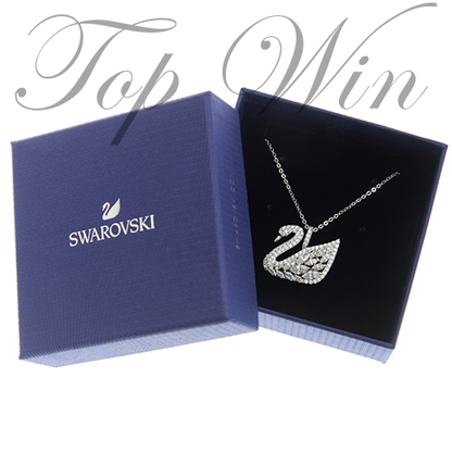 全新 Swarovski 施華洛世奇 SWAN LAKE 頸鏈 銀色 白金 5169080（特價）